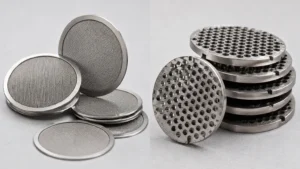 Difference Between Screen Filter and Disc Filter visual guide