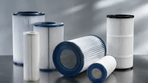 Filter Cartridge Jandy visual guide