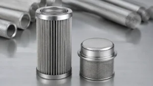Filter Cartridge vs Capsule visual guide