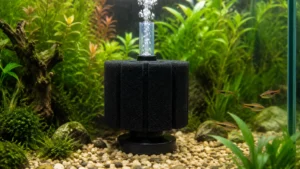 Foam Filter Aquarium visual guide