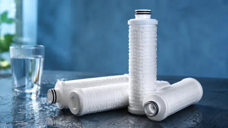 Kirkland Signature Water Filter Cartridges visual guide