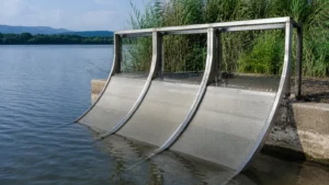 Lake Screen Filter visual guide