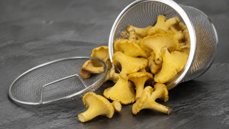 Yellow Strainers Mushrooms visual guide